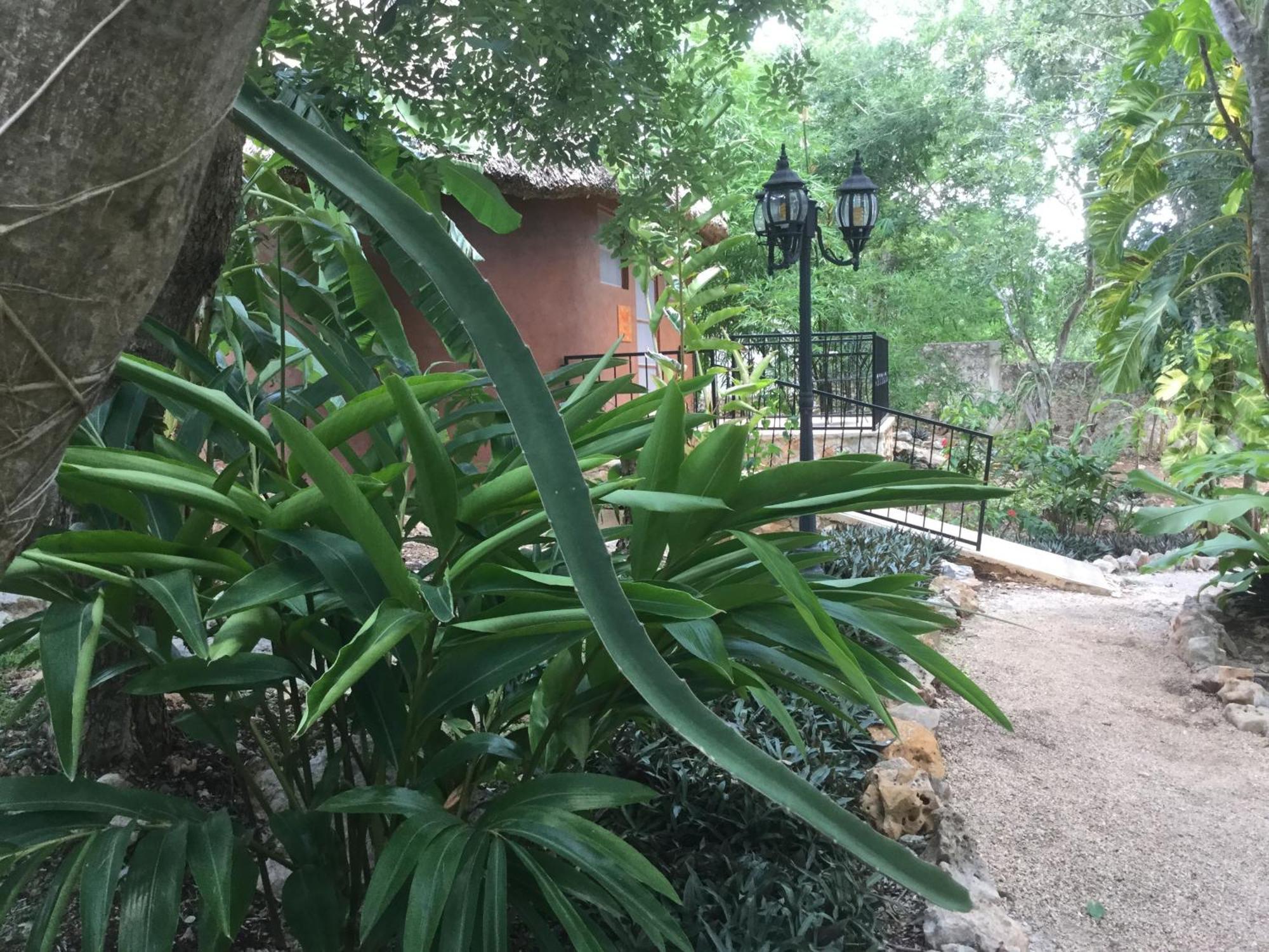 The Pickled Onion B&B And Restaurant Uxmal Santa Elena Phòng bức ảnh