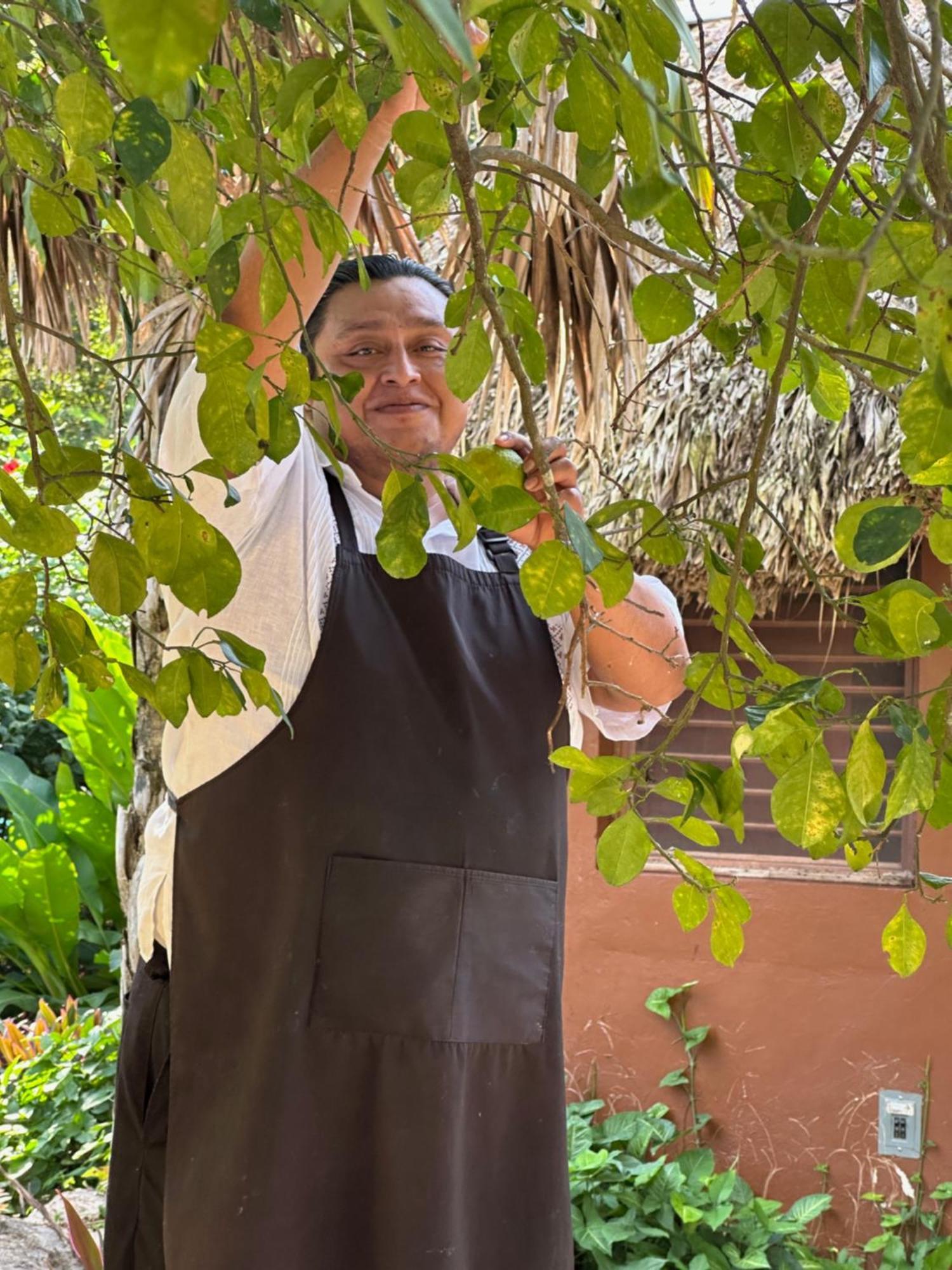 The Pickled Onion B&B And Restaurant Uxmal Santa Elena Ngoại thất bức ảnh