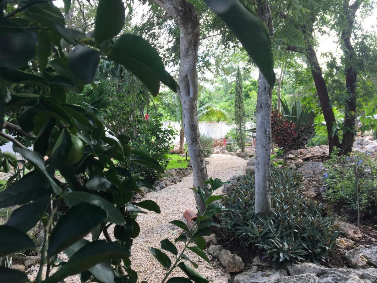 The Pickled Onion B&B And Restaurant Uxmal Santa Elena Ngoại thất bức ảnh