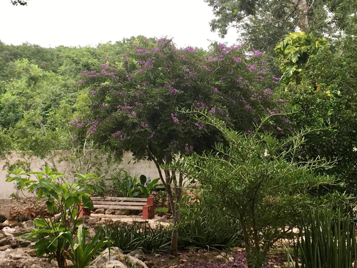 The Pickled Onion B&B And Restaurant Uxmal Santa Elena Ngoại thất bức ảnh
